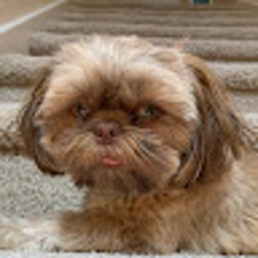 Meet your Posher, Felicia